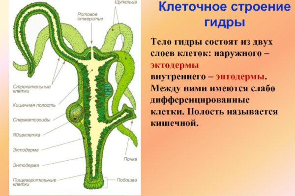 Как зайти на кракен через тор