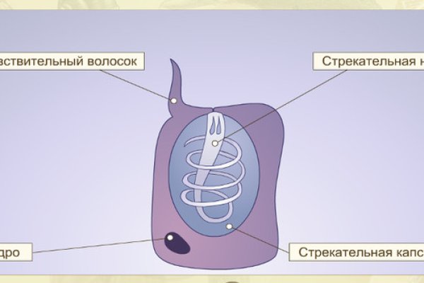 Kraken ссылка onion 2kmp