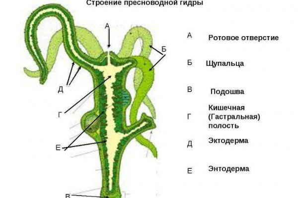 Официальный сайт даркнет